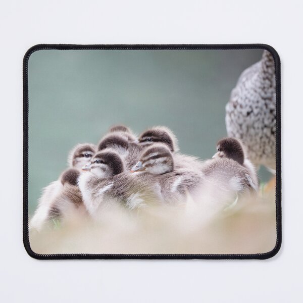 Item preview, Australian Wood Ducklings designed and sold by andrewbensch.