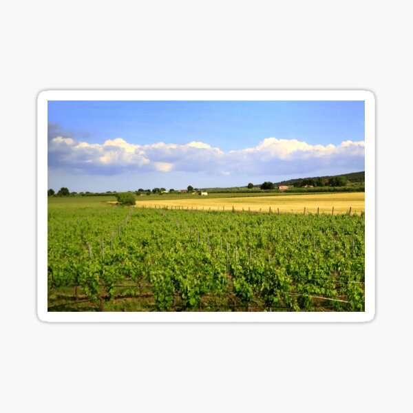 Item preview, Vineyards in Apulia designed and sold by annalisa56.
