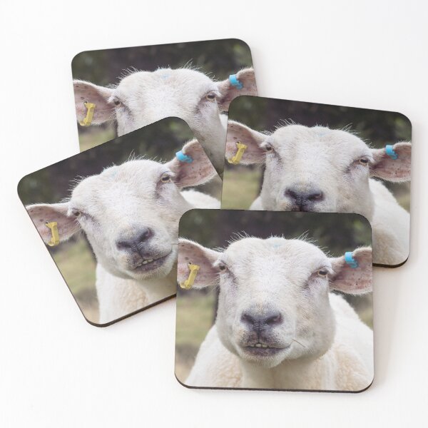Item preview, Baa designed and sold by JEZ22.