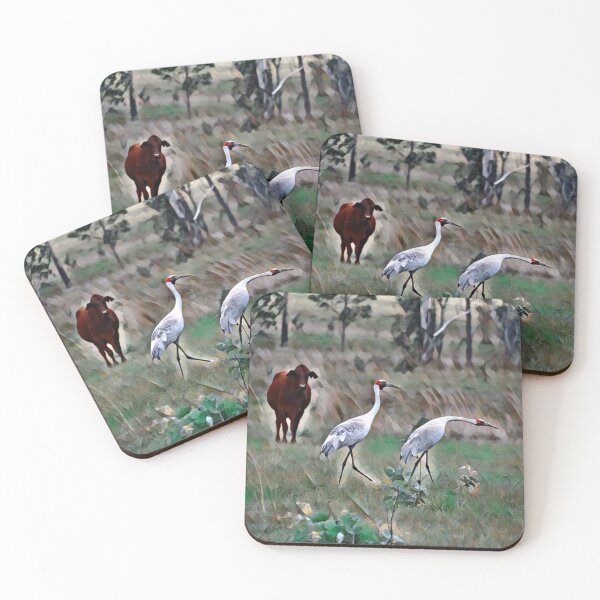 Item preview,  Australian BROLGA, WALL ART, WILDLIFE designed and sold by Barbara Jean Photo Art And Design.
