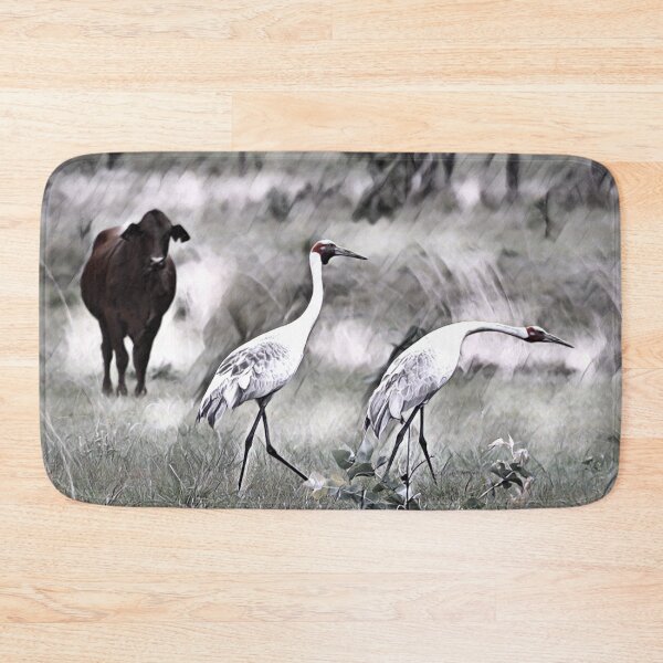 Item preview, Australian BROLGA, WALL ART, BIRDLIFE designed and sold by Barbara Jean Photo Art And Design.
