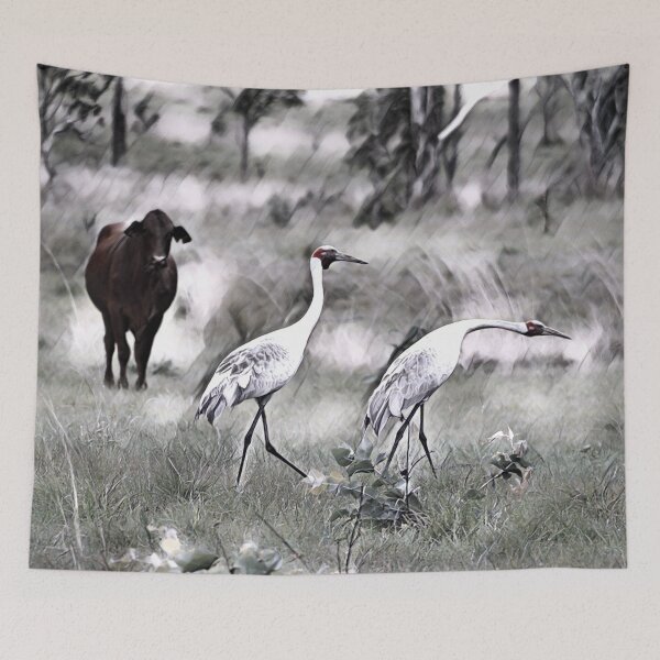 Item preview, Australian BROLGA, WALL ART, BIRDLIFE designed and sold by Barbara Jean Photo Art And Design.