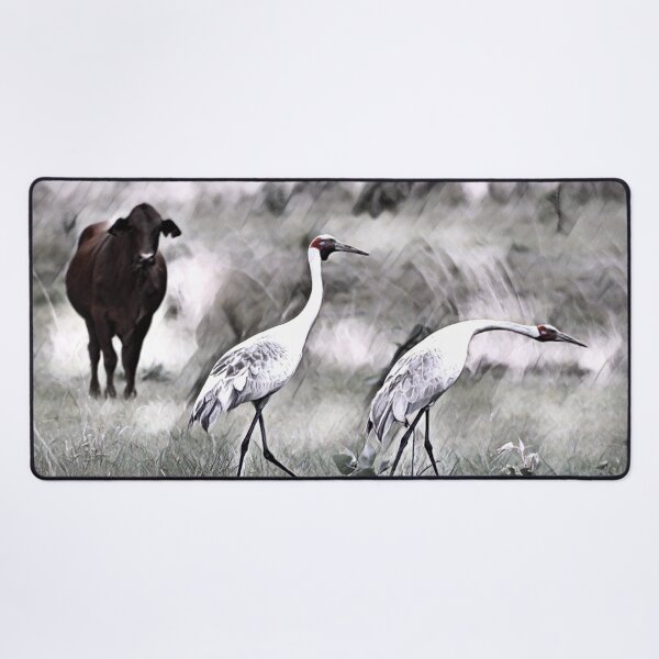 Item preview, Australian BROLGA, WALL ART, BIRDLIFE designed and sold by Barbara Jean Photo Art And Design.