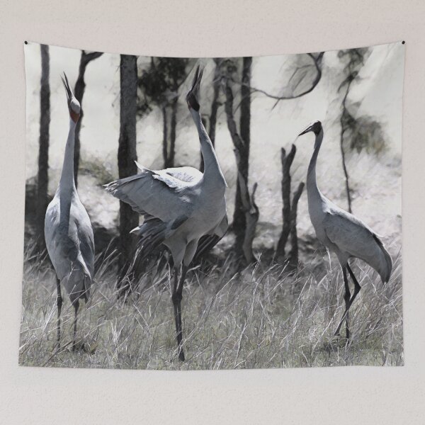 Item preview, Australian BROLGA WILD BIRD designed and sold by Barbara Jean Photo Art And Design.