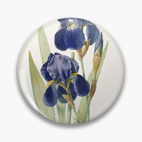 Item preview, Iris Germanica designed and sold by Craphe.