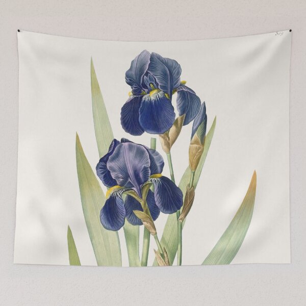 Aperçu de l'œuvre Iris germanique créée et vendue par Craphe.