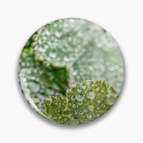Item preview, Dew Covered Leaves designed and sold by jalfc46.