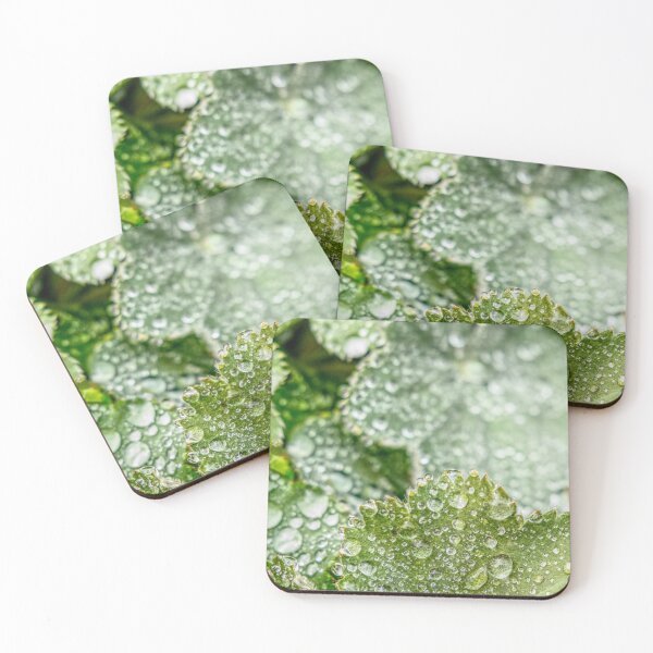 Item preview, Dew Covered Leaves designed and sold by jalfc46.