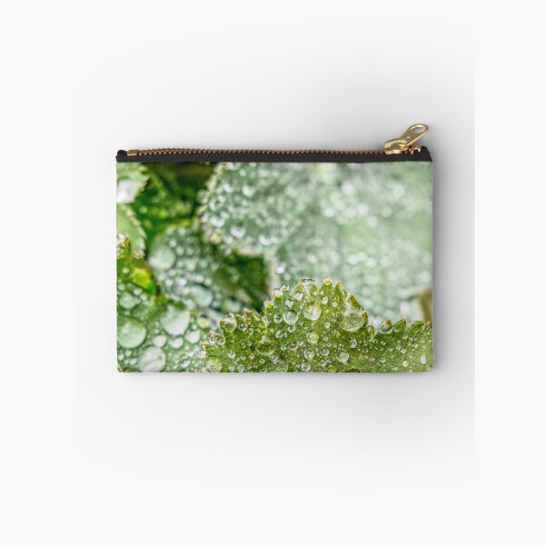 Item preview, Dew Covered Leaves designed and sold by jalfc46.