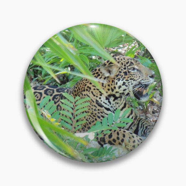 Item preview, leopard designed and sold by Rekindled Nature Photography.