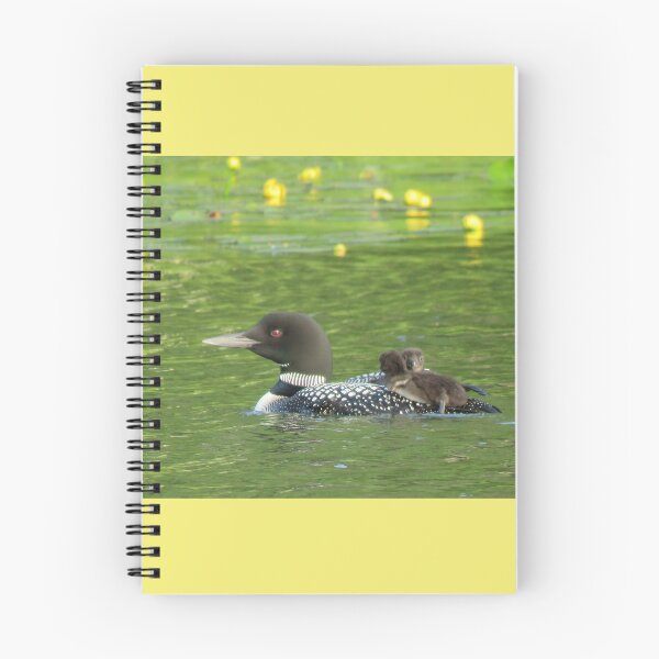 Item preview, Common Loon with Adorable Twin Chicks on its Back designed and sold by Debbie Center.