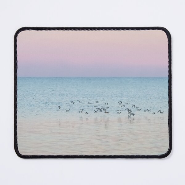 Item preview, Oystercatchers at Dawn designed and sold by Brooke T Ryan Photographic Art.