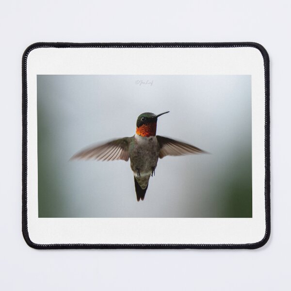 Item preview, Ruby-throated Hummingbird designed and sold by Julie Laferrière.