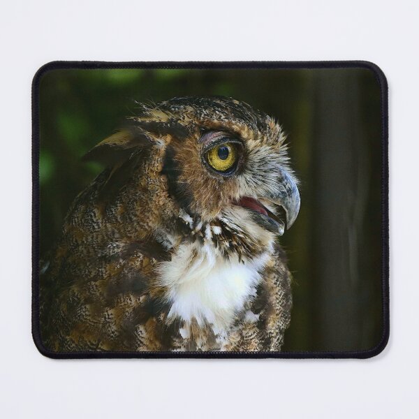 Item preview, Great Horned Owl designed and sold by MercerImages.