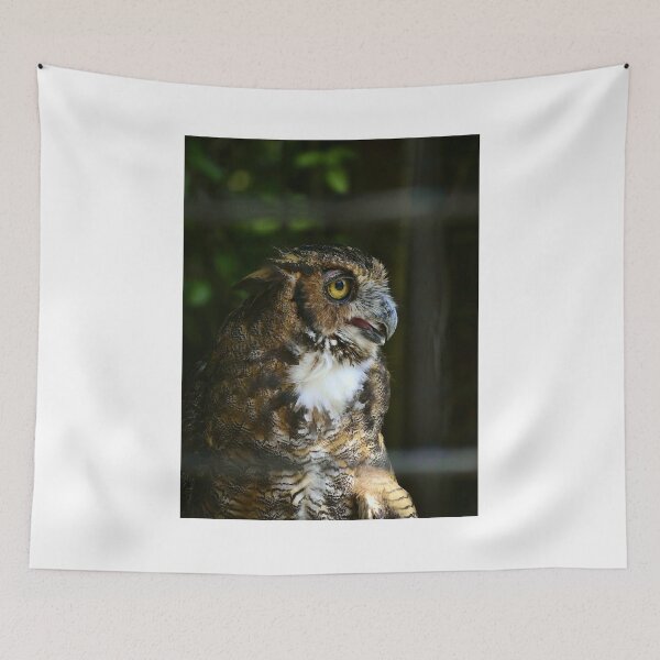 Item preview, Great Horned Owl designed and sold by MercerImages.