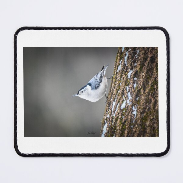 Item preview, White-breasted nuthatch designed and sold by Julie Laferrière.