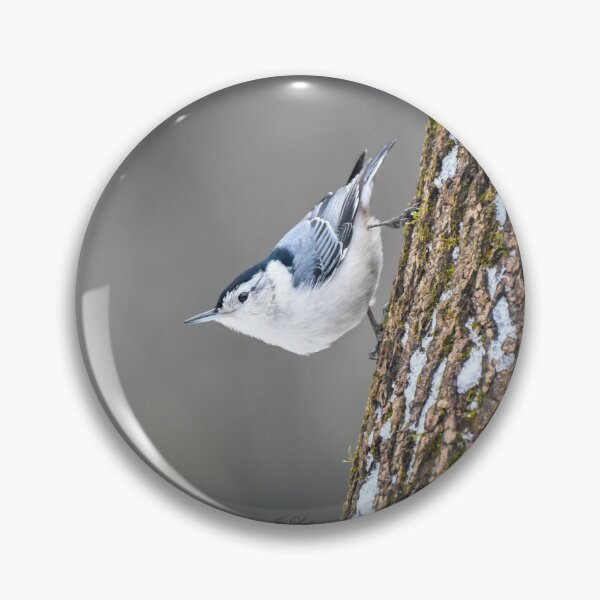 Item preview, White-breasted nuthatch designed and sold by Julie Laferrière.