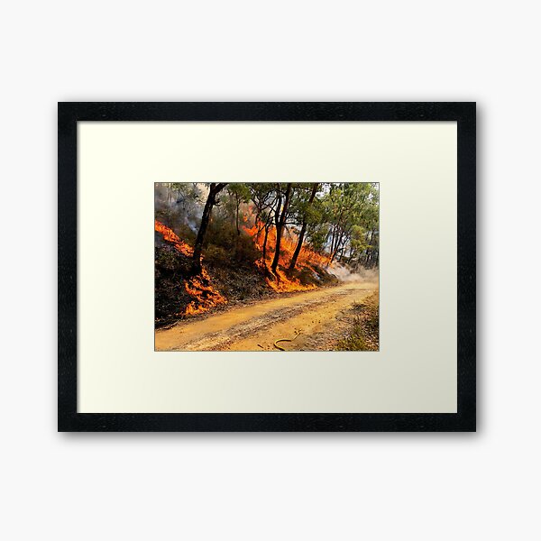 Item preview, 2019/2020 Australian Black Summer Bushfires  designed and sold by Gene Fisher.