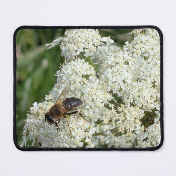 Item preview, Busy Bee at Harriet's Pool designed and sold by kezbomb.