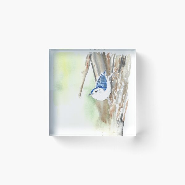 Item preview, White-breasted nuthatch designed and sold by GiselleSellier.