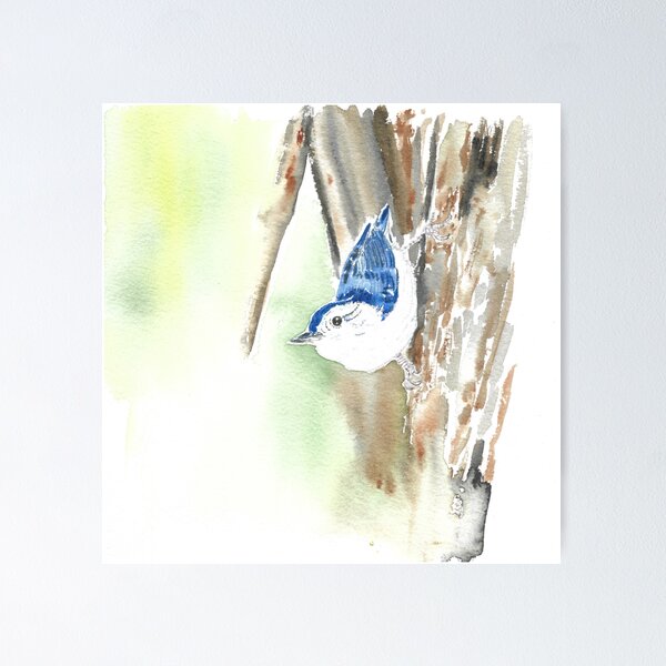 Item preview, White-breasted nuthatch designed and sold by GiselleSellier.