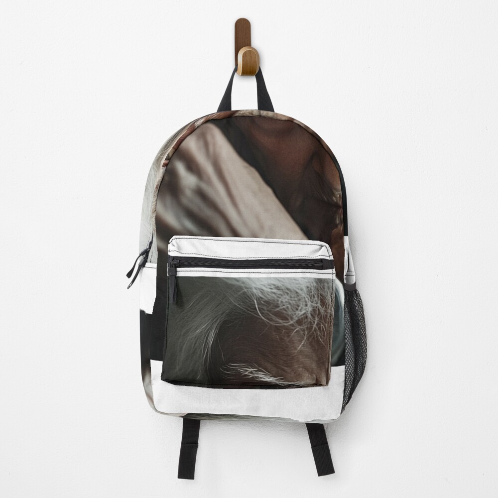 Aperçu de l'œuvre Sac à dos créée et vendue par RicoInStudios.