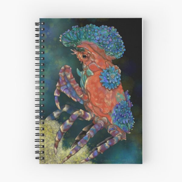 Item preview, Signed Art Print: Decorator Crab, signed designed and sold by Waubamik Perry.