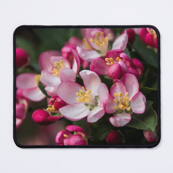 Item preview, Crabapple Bloom designed and sold by Jen_Auseth.