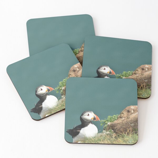 Item preview, Puffin on clifftop designed and sold by Alison Stevens.