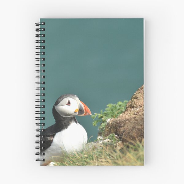 Item preview, Puffin on clifftop designed and sold by Alison Stevens.