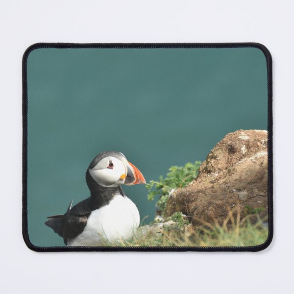 Item preview, Puffin on clifftop designed and sold by Alison Stevens.