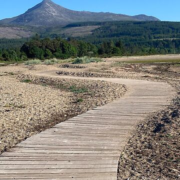Artwork thumbnail, The Fisherman's Walk & Goatfell, Arran by Fiona MacNab