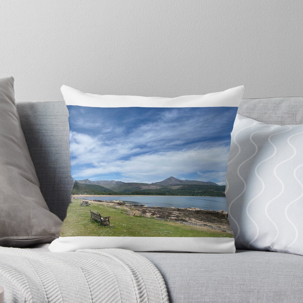Item preview, Throw Pillow designed and sold by orcadia.