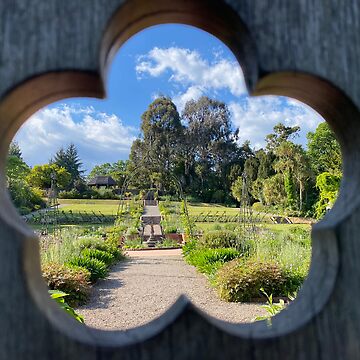 Artwork thumbnail, Through the flower window by Fiona MacNab