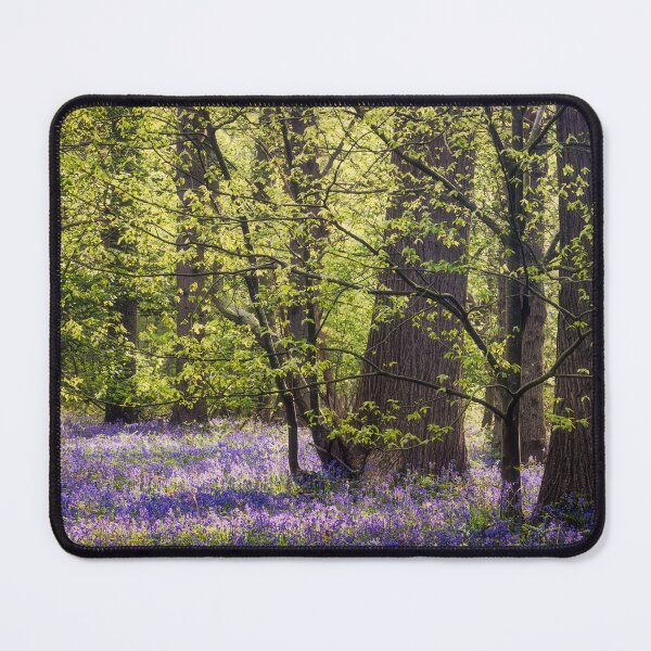 Item preview, Bluebells in Early Morning Light designed and sold by dp-images.