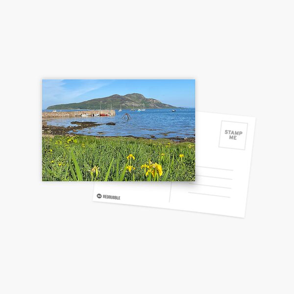 Item preview, Yellow flag & Holy Isle designed and sold by Fiona MacNab.