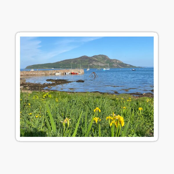 Item preview, Yellow flag & Holy Isle designed and sold by Fiona MacNab.