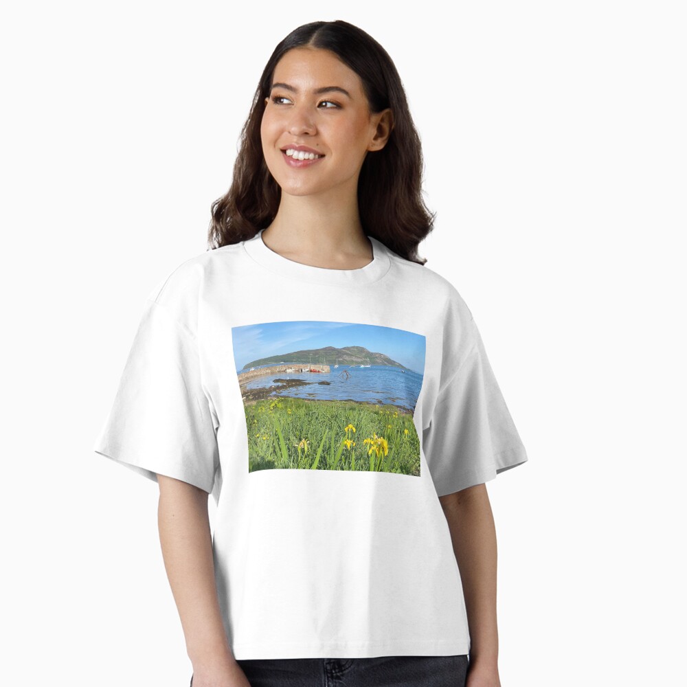 Item preview, Boxy T-Shirt designed and sold by orcadia.