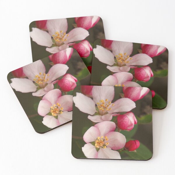 Item preview, Crabapple Blossom 2 designed and sold by Jen_Auseth.