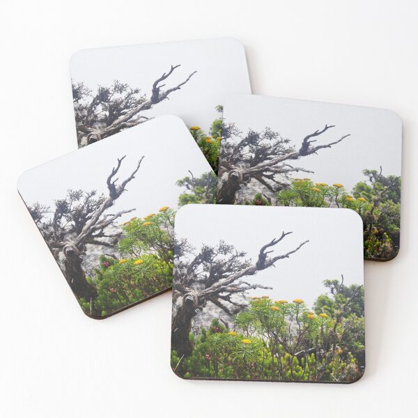 Item preview, Table Mountain Flora – Wildflowers and Weathered Tree in Misty South Africa designed and sold by jacoalberts.