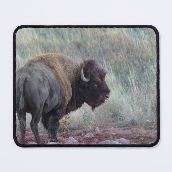 Item preview, Home on the Range with the American Bison designed and sold by pixrit.