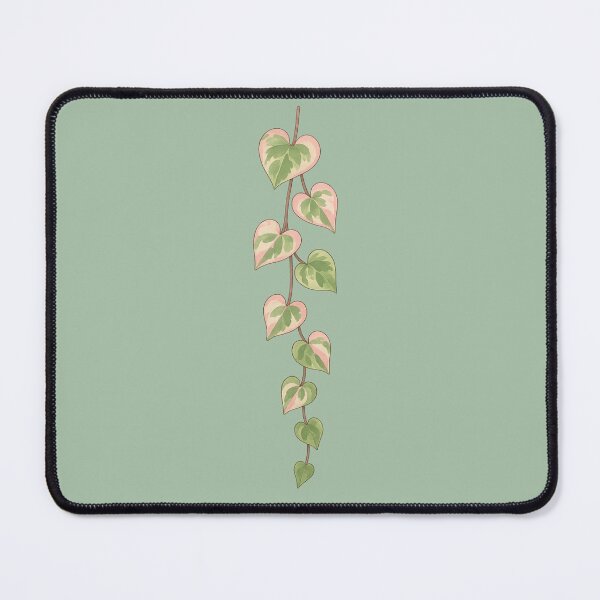 Item preview, Variegated String of Hearts – Pink and Green Trailing Plant designed and sold by Planthem.