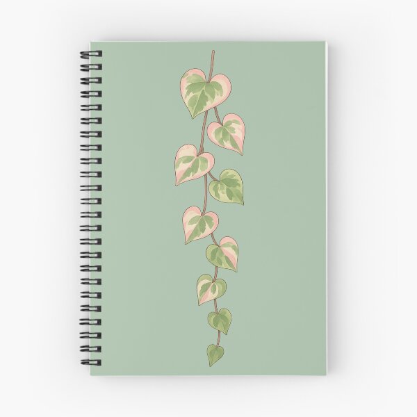 Item preview, Variegated String of Hearts – Pink and Green Trailing Plant designed and sold by Planthem.