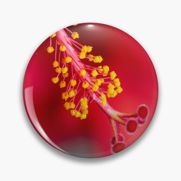 Item preview, hibiscus 1 designed and sold by Jen_Auseth.