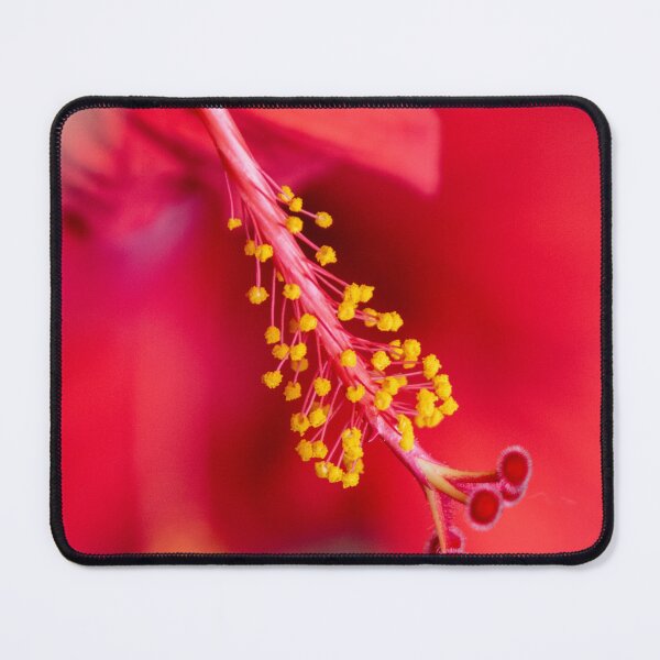 Item preview, hibiscus 1 designed and sold by Jen_Auseth.