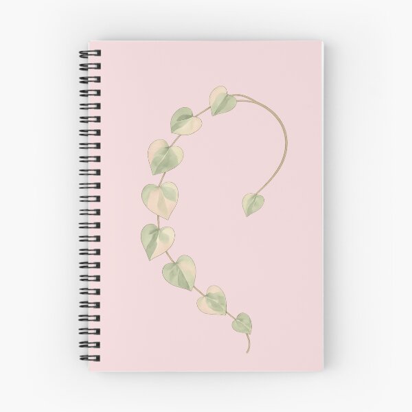 Item preview, Variegated String of Hearts designed and sold by Planthem.