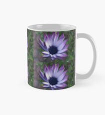 Blaze of Glory - Beautiful African Daisy Tasse (Standard)