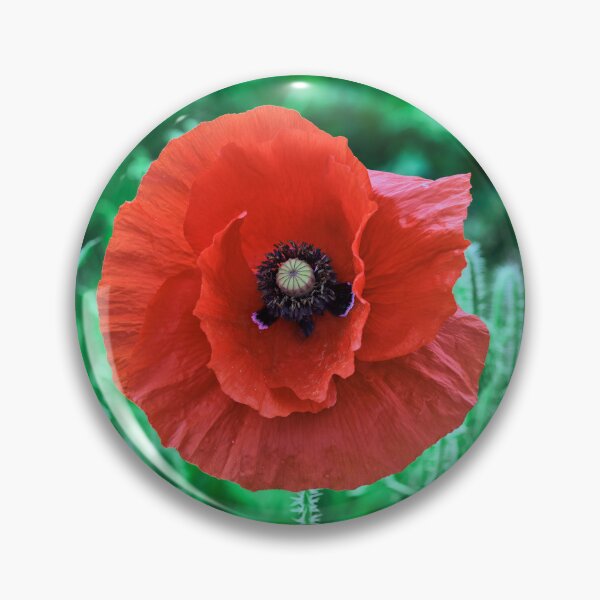 Item preview, A Solitary Poppy designed and sold by Tom McPherson Photography.