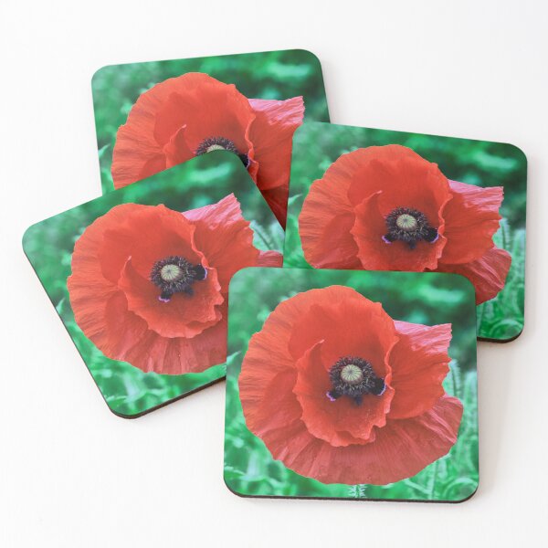 Item preview, A Solitary Poppy designed and sold by Tom McPherson Photography.