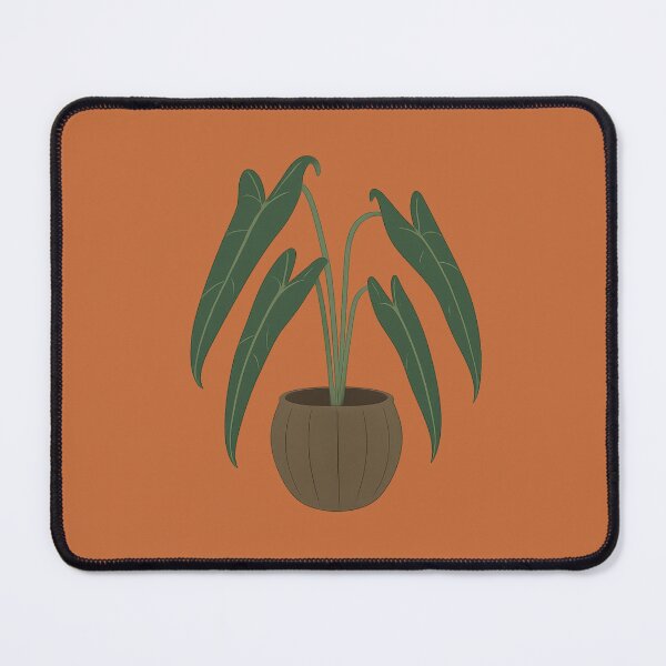 Item preview, Philodendron Spiritus Sancti designed and sold by Planthem.